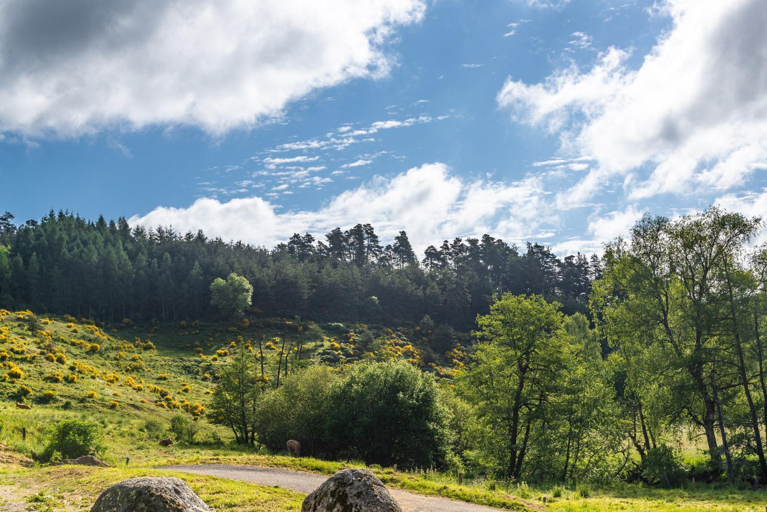 Gite De La Grange - Domaine De Coulagnettes Serverette Eksteriør bilde